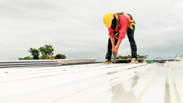 Best Sheet Metal Roofing  in Raynham Center, MA